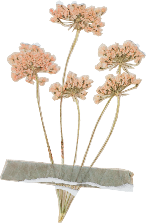 Vintage Feminine Romantic Taped Flowers Cutout